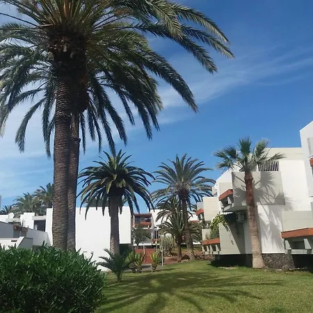 Primavera طوستا ديل سيلونثيو